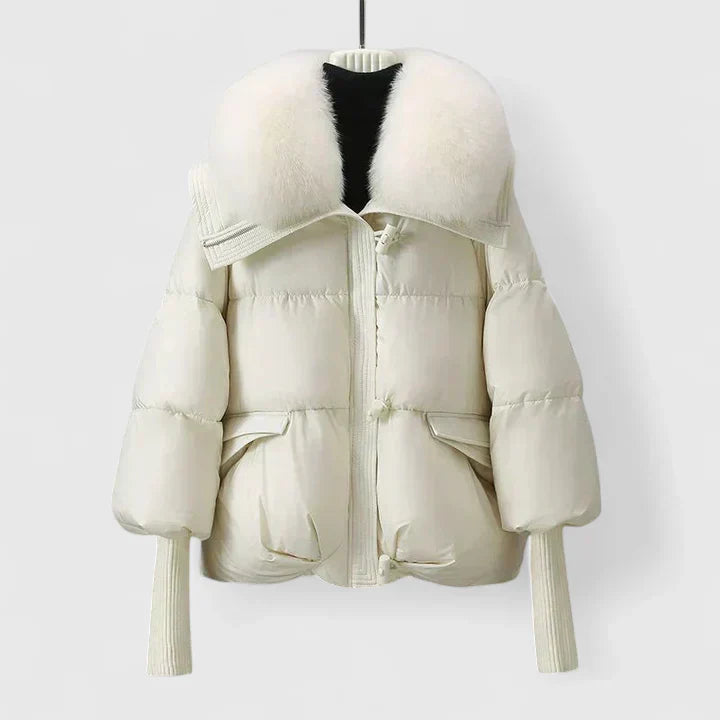 Elvayn | Comfortable Jacket