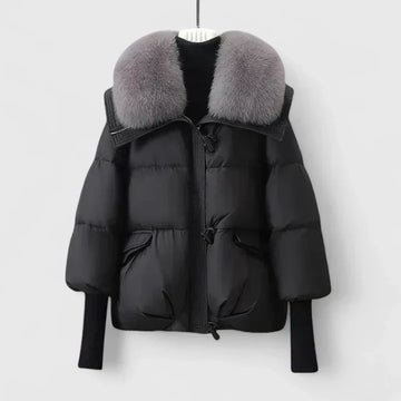 Elvayn | Comfortable Jacket